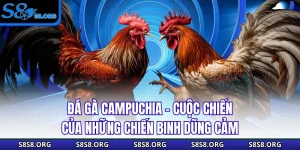 Đá Gà Campuchia - Cuộc Chiến Của Những Chiến Binh Dũng Cảm