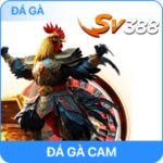 Đá Gà S8